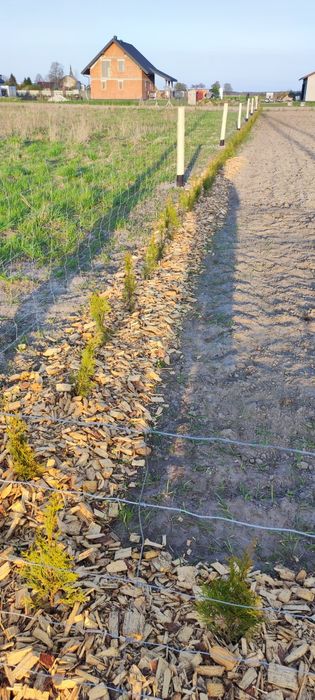 Działka budowlana 20 ar | WZ | Złoczew | S8 | Gotowa pod zabudowę /zamiana/ - Widok 3