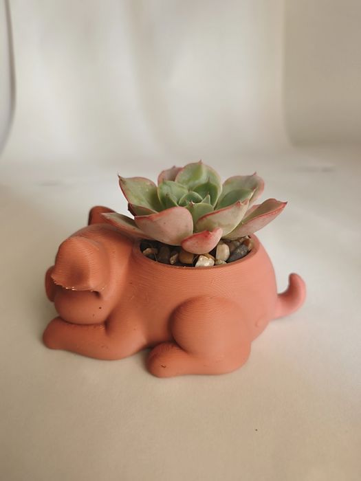 Vaso Decorativo porco com suculenta