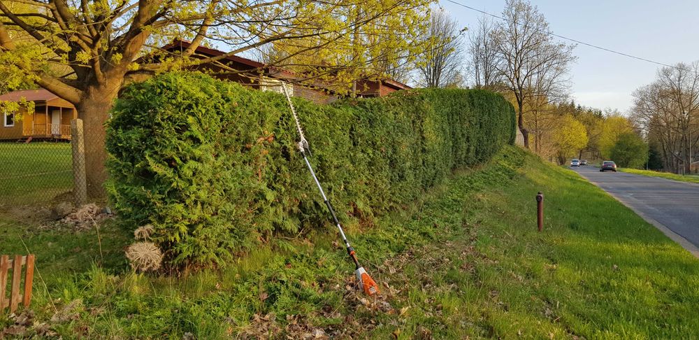 Usługi ogrodnicze, pielęgnacja ogrodów.