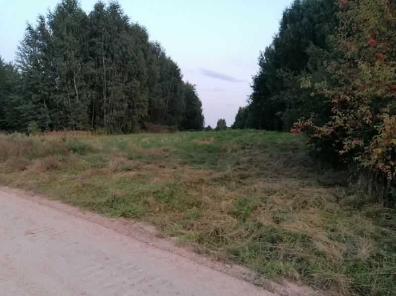 Zdjęcie 3