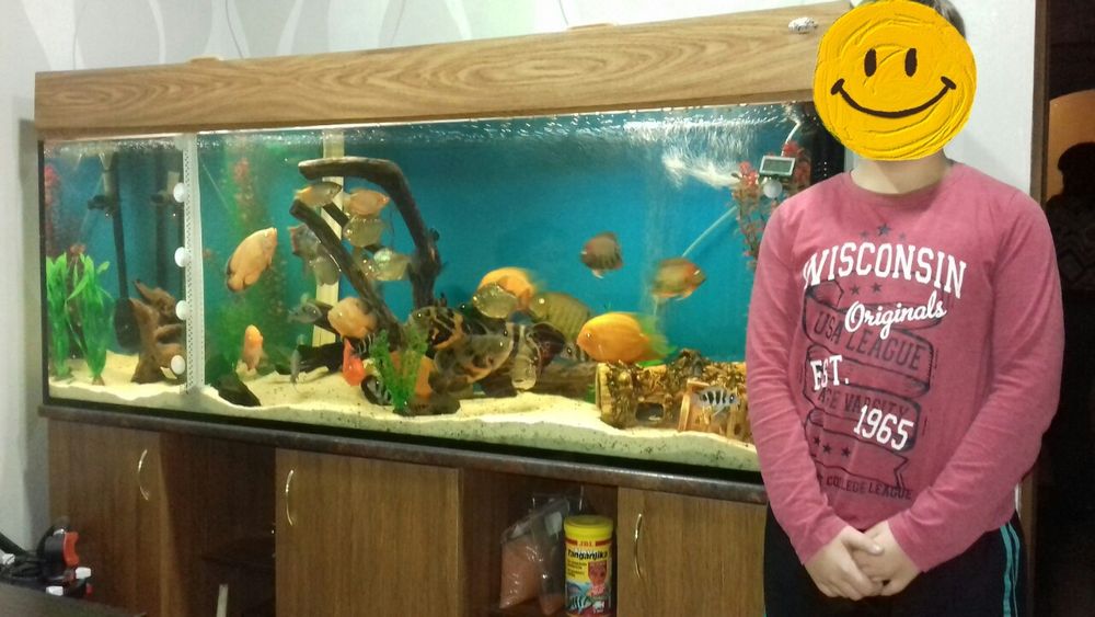 Терміново продам акваріум з тумбою