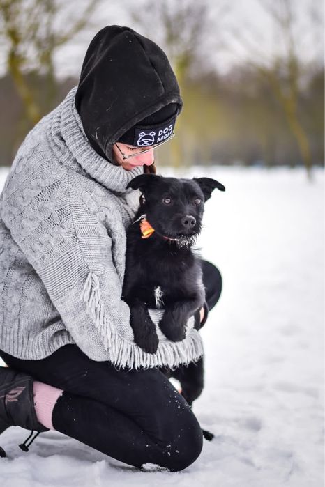 Pędzel i Farba - dwa porzucone młode szorściaki do adopcji