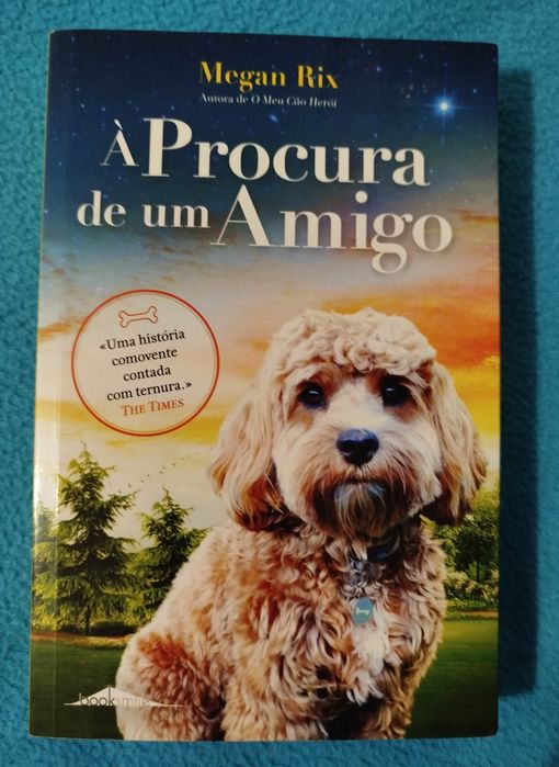 Livro À Procura de um Amigo