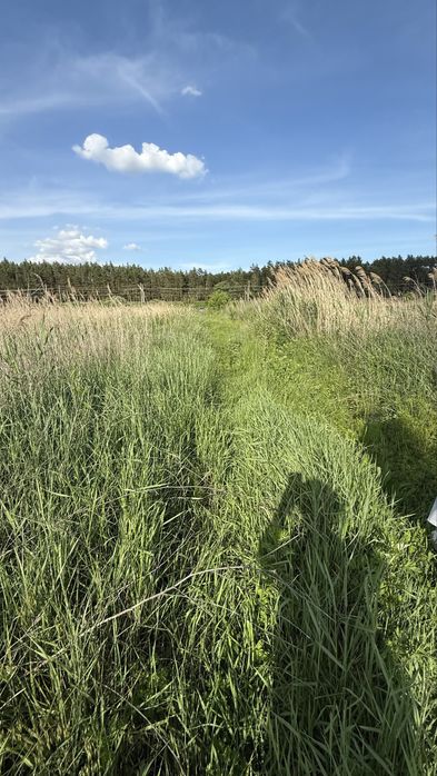 Ділянка 8 га, с. Романків, Підгірці, Київська область