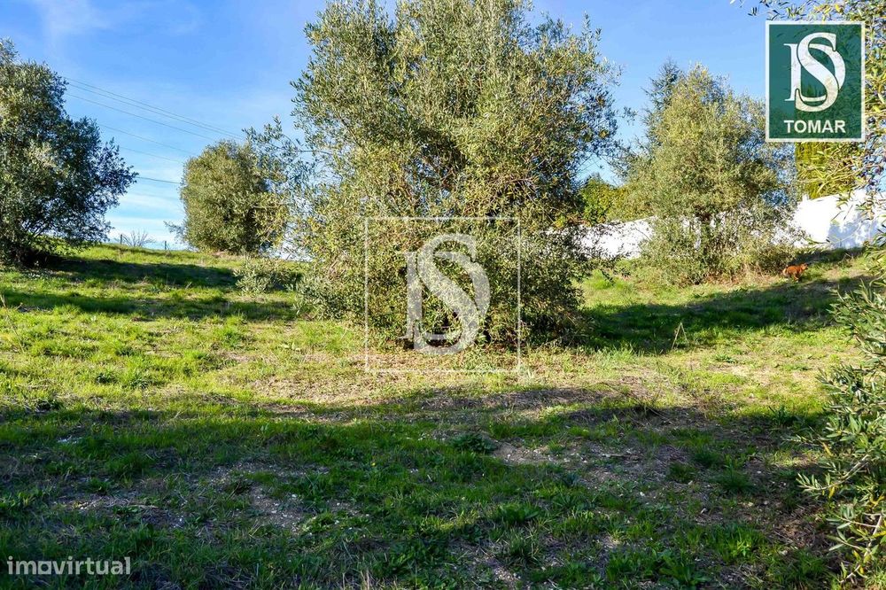 Terreno  Venda em Tomar (São João Baptista) e Santa Maria dos Olivais,