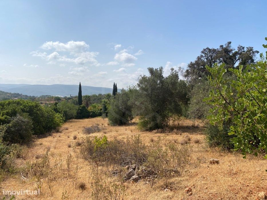 Lote de Terreno Rústico no Serro dos Passarinhos, Loulé, Algarve