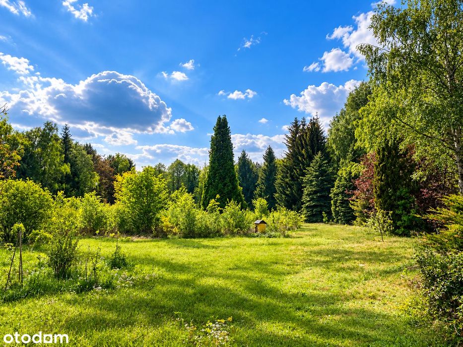 Wyjątkowa posiadłość z prywatnym parkiem – Park Wiejski w Antoniewie