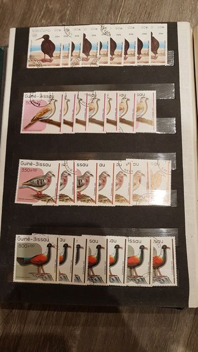 Znaczki Pocztowe cały świat głównie ptaki