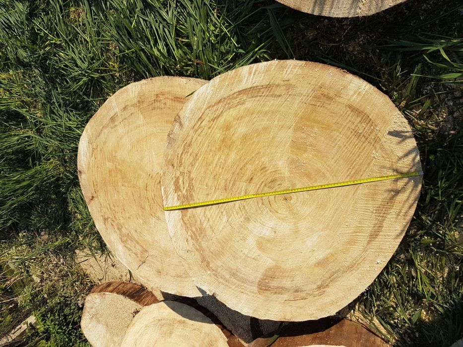 Drzewo, blat, stół, pień topola średnica 80-100 cm