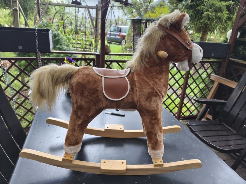 Konik na biegunach