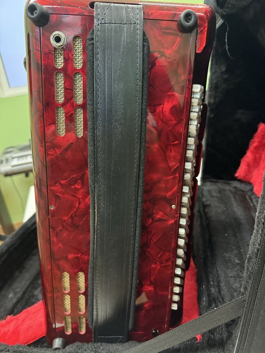 Acordeão completamente novo com case