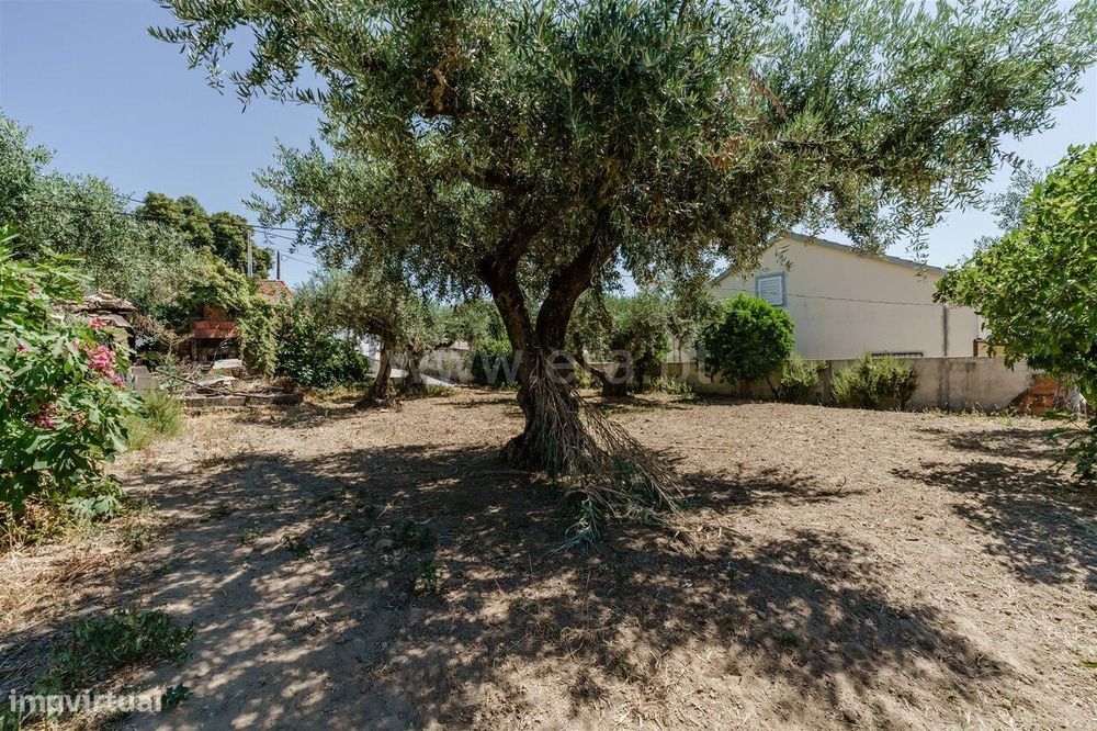 Terreno para Construção / Fundão, Telhado