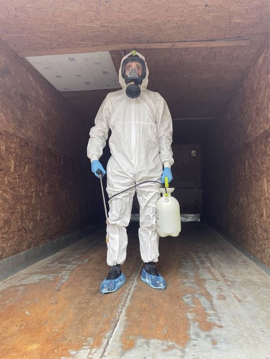 Професійне знищення тарганів блох клопів щурів мишей