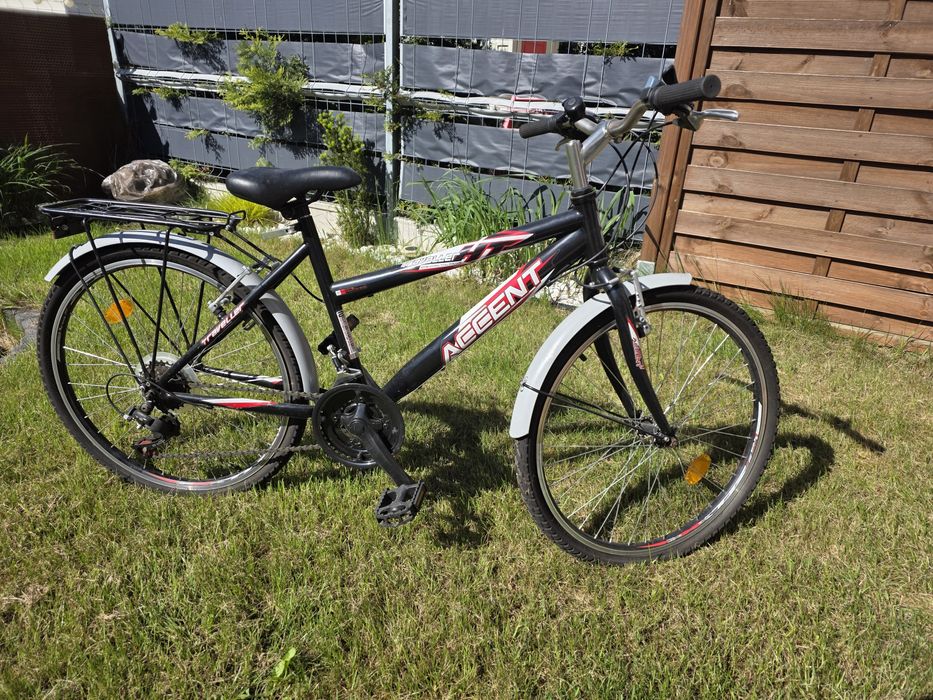Rower Accent Traveller 24''