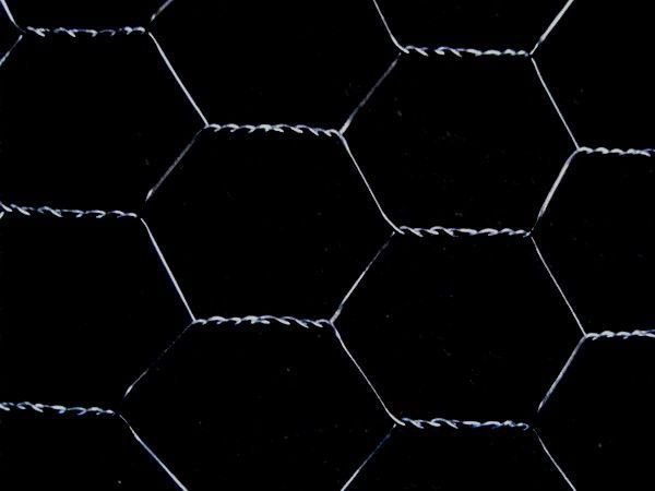 Siatka hodowlana zgrzewana 16x16  x1,2mm na woliery klatki dla gołębi