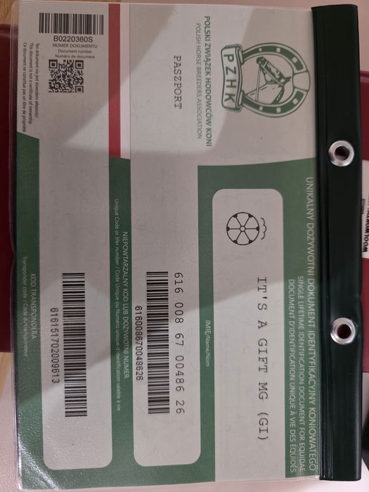 Ogierek Śląski, świetne pochodzenie