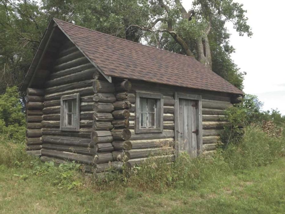 Postes de madeira tratados do telefone