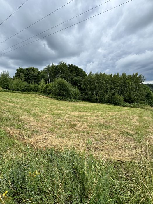 Działka rolno-leśna w Szymbarku