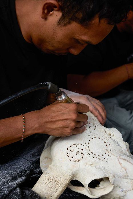 Crânio de touro autentico esculpido