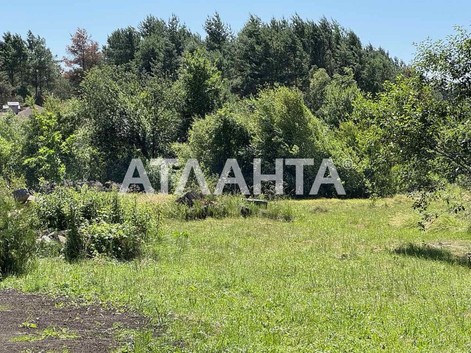 Продаж земельної ділянки в с. Паланки