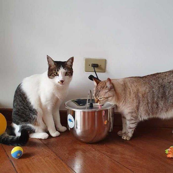 Bebedouro Fonte automática de água para cães e gatos 100% Inox - 4 litros