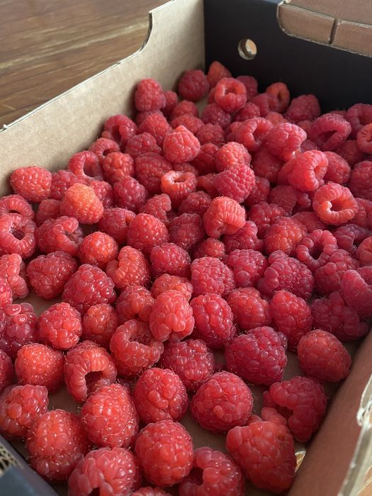 Framboesa fresca fruta