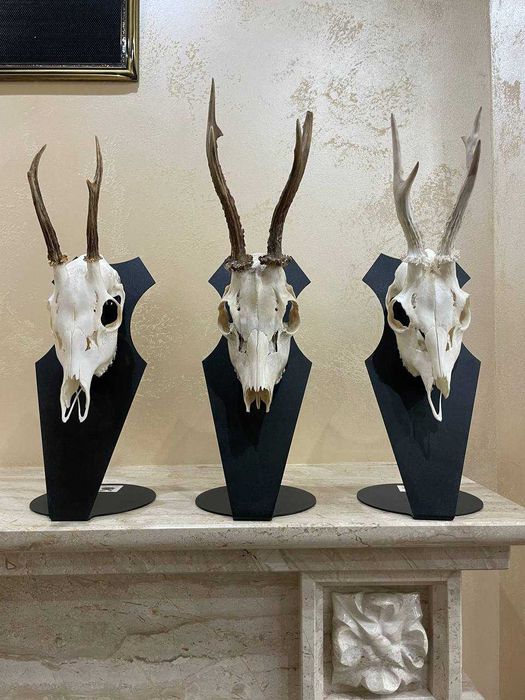 Медальйон під трофей