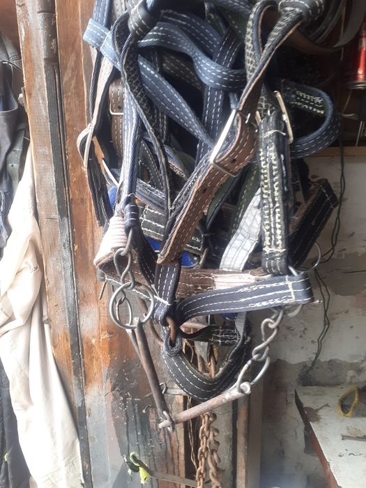Збруя для коней , наявності є вуздечки , шлия.и