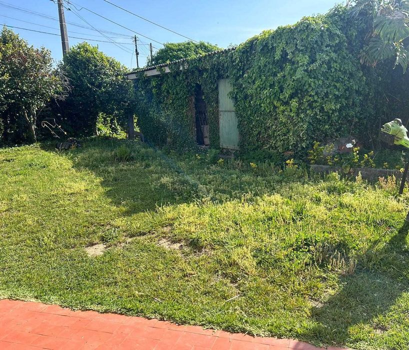 Serviços de Jardinagem e Limpeza de Terrenos