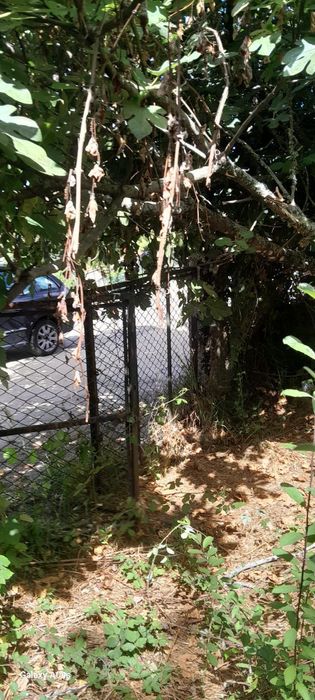 Moradia T1 + Terreno Rustico - Excelente Potencial