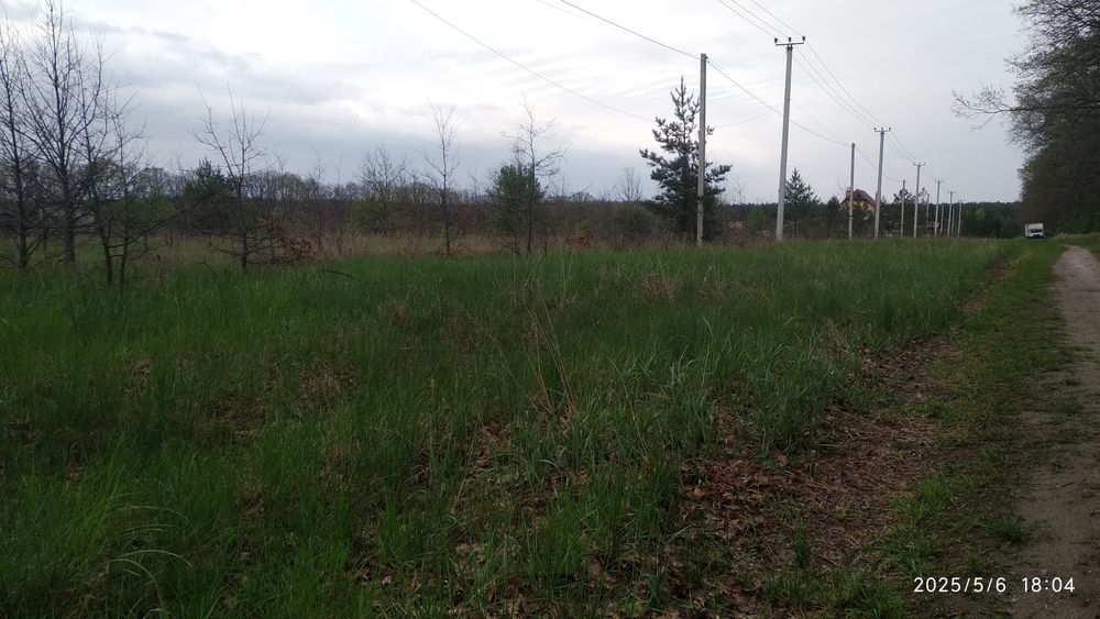 Дзвінкове. Ділянка під забудову площею 15соток біля лісу.