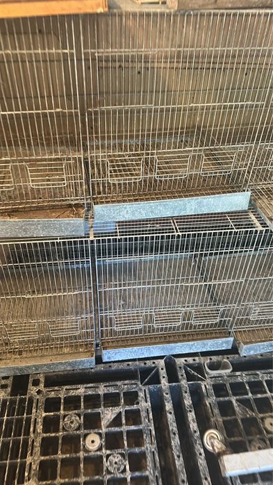 Gaiolas para animais