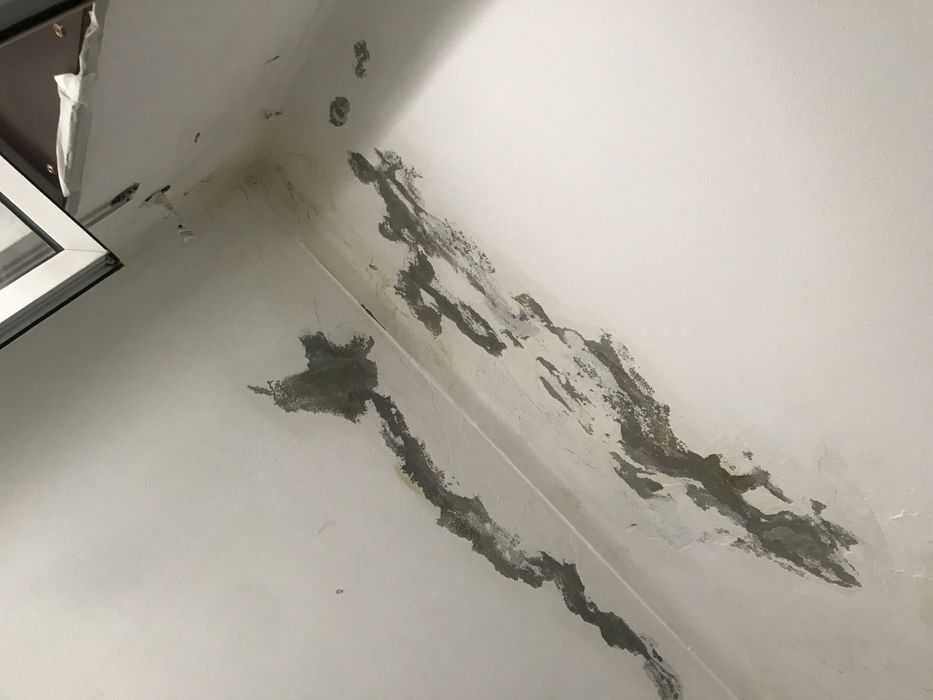 Pladur, pinturas exterior, interior