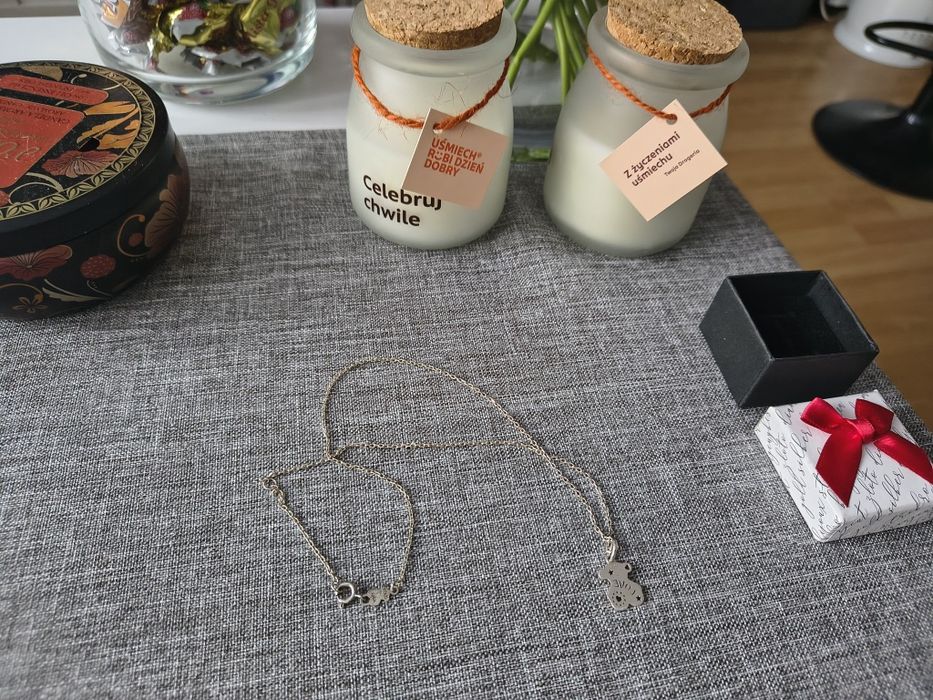 Sprzedam srebrny łańcuszek z zawieszką Tous