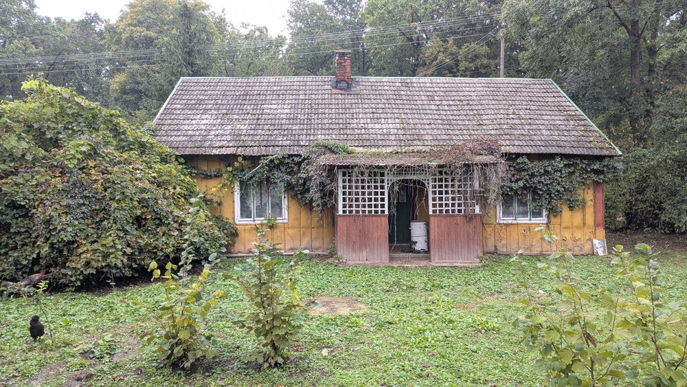 Sprzedam nieruchomość o pow. 1,76 ha z domem w Wacławicach