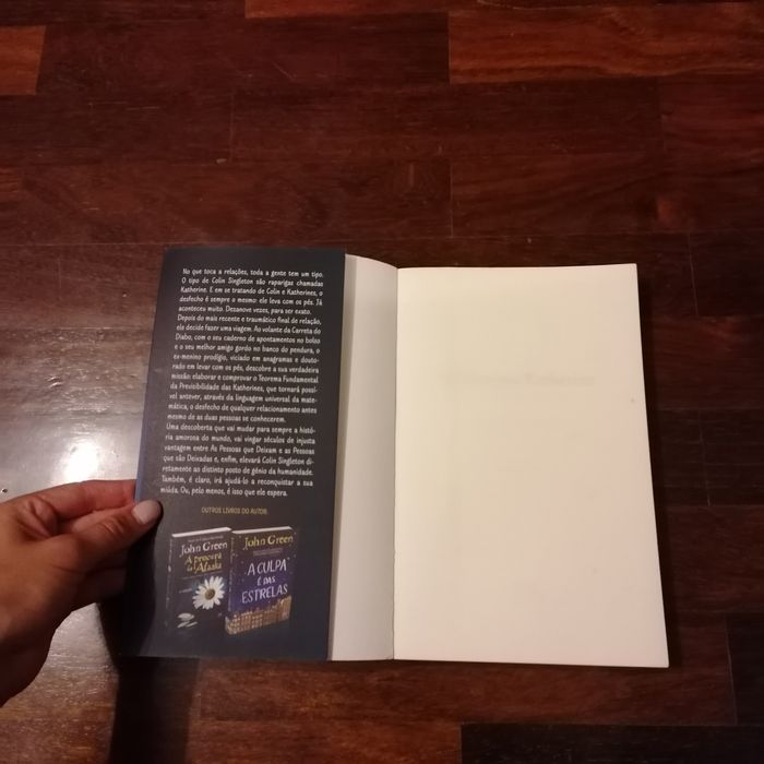 Livro - O teorema de Katherine