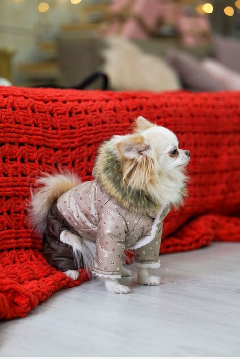 Одяг для собак комбінезон зимовий на маленьку породу