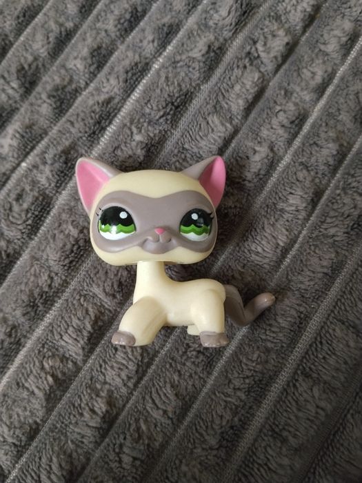 Lps shorthair 1116