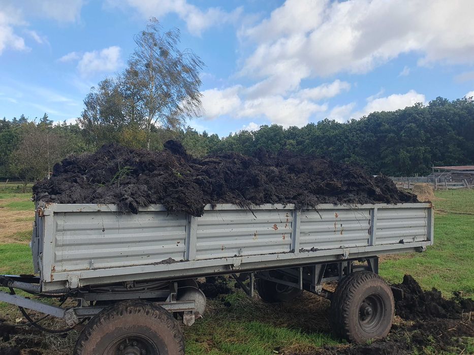 Obornik bydlęcy sprzedam