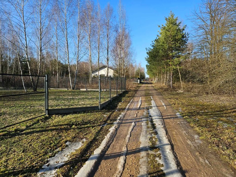 Działka budowlana Cychry gm. Pniewy - Widok 4