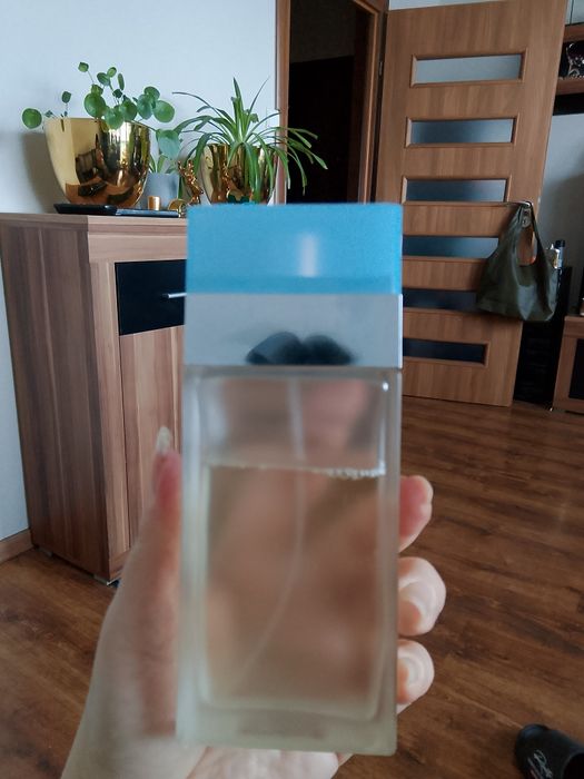 Perfumy Dolce Gabbana