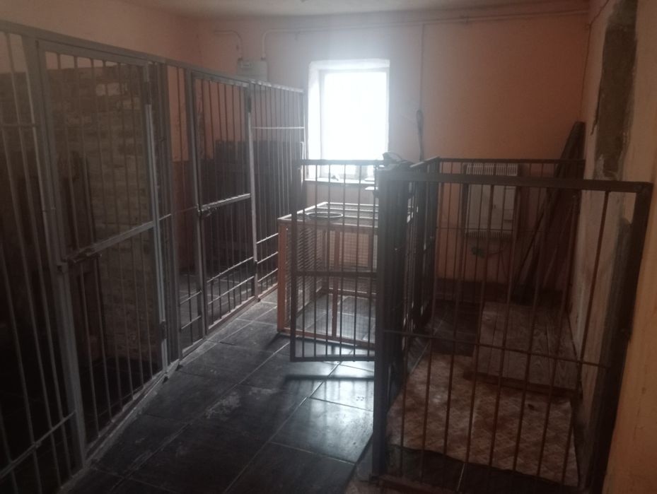 Продам бізнес перетримка собак та котиків