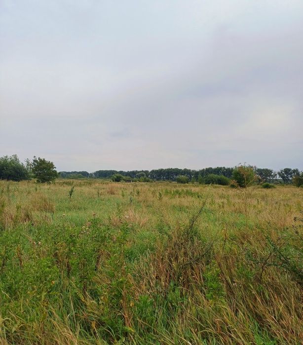 Продаж земельної ділянка на Лезнево.