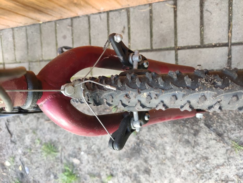 Rower Arctic 26''