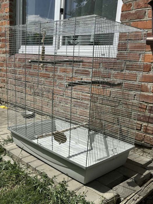 Klatka dla Gryzoni Papug XXL 100x100x55 cm
