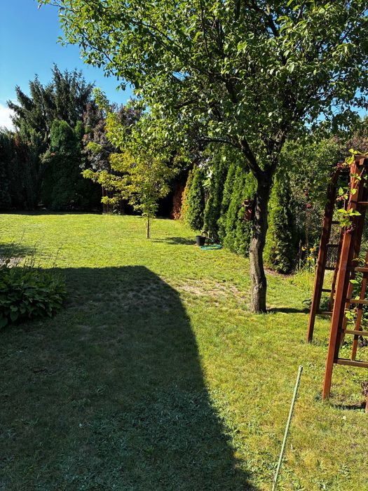 Działka ROD 287 m² z domkiem, tarasem – ROD Bemowo 2 - Widok 5
