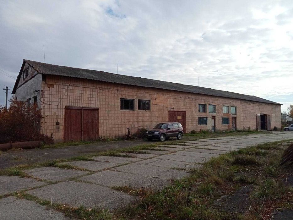 Будівельна компанія (діюча) продаж