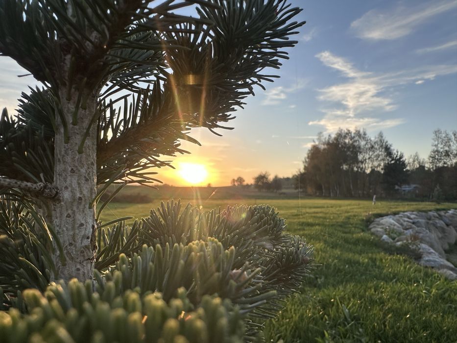 Odpoczynek na Wsi Apatrament pod wynajem  max 5 dobowy