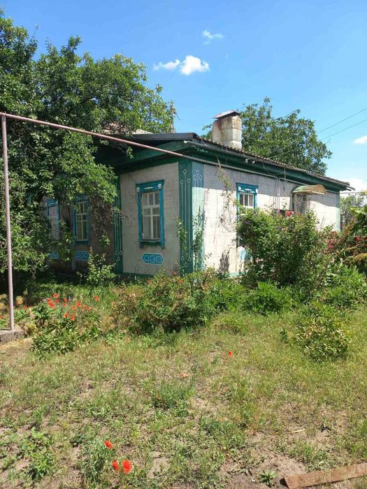 Будинок з усіма зручностями в с. Дружба (Криничанський район)