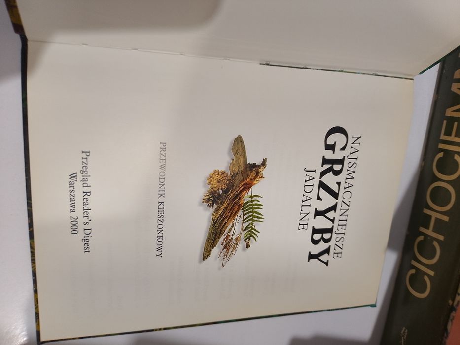 Najsmaczniejsze grzyby jadalne